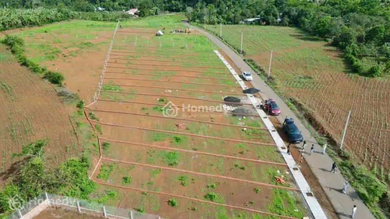6014425 ảnh đại diện 1