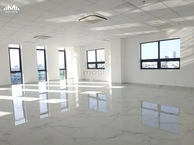6013867 ảnh đại diện 1