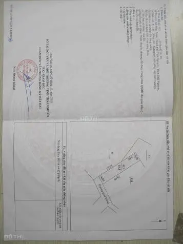 6014140 ảnh đại diện 1