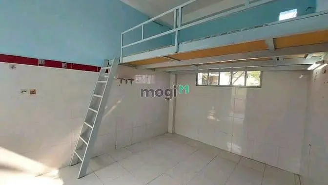 6014526 ảnh đại diện 1