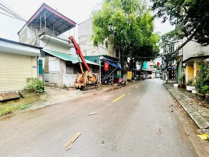 6014840 ảnh đại diện 1
