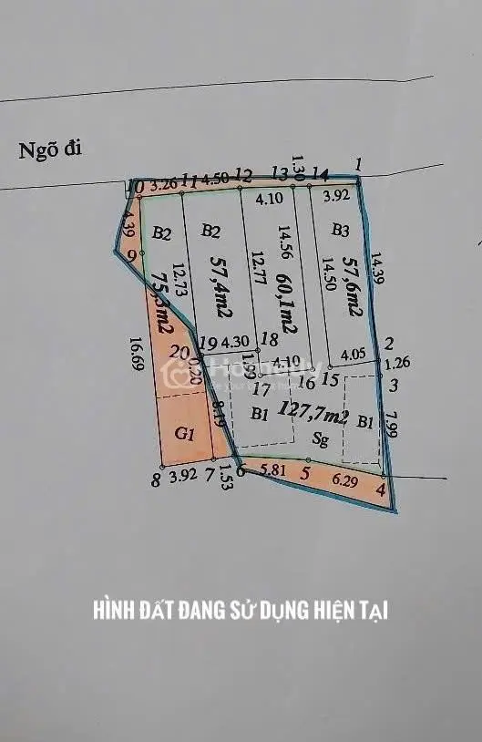 6014883 ảnh đại diện 1