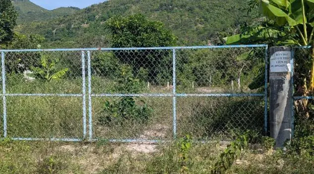 Loại Hình Bất Động Sản Phước Trạch, Diên Toàn, Diên Khánh, Khánh Hòa