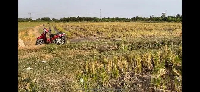 Ngộp Bán Rẻ Lô Đất Hẻm 2.940M² Thuộc Tân Nhựt, Bình Chánh Giá 1,5Tr/M²