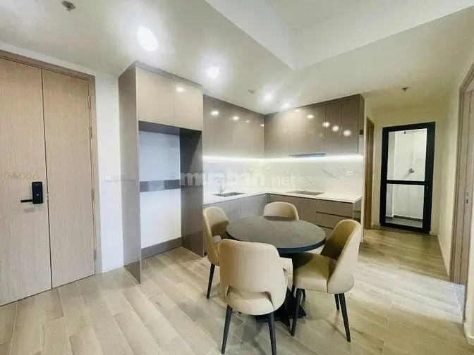 Cho Thuê Căn Hộ 1 Phòng Ngủ (1Br+) Tại Dự Án Lumiere Riverside