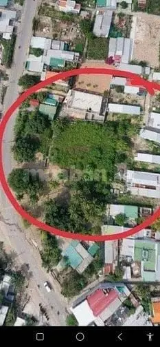 6014783 ảnh đại diện 1