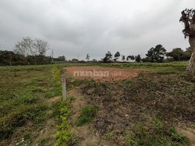 Cần Bán Lô Đất Tại Phường Tùng Thiện Tp Hà Nội