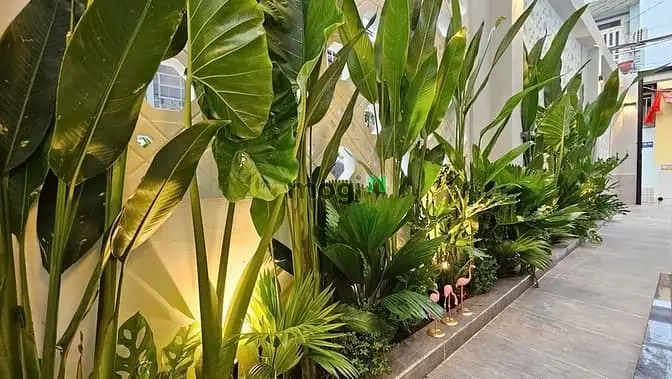 Nhà Mới Hoàn Thiện Xinh Lung Linh 1 Lầu Hẻm 47 Võ Thị Nhờ, Quận 7