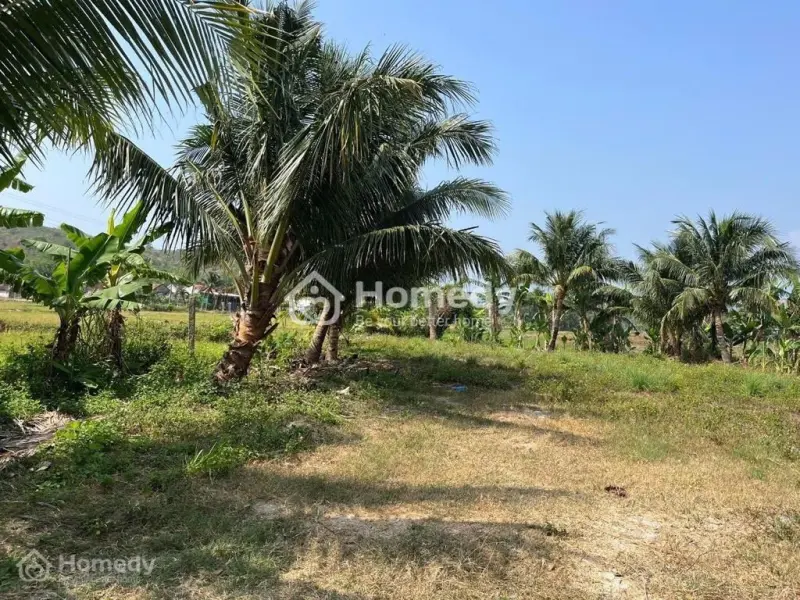 Bán Đất Tiên Du 1, Phường Hòa Thắng, Sổ Công Chứng Trong Ngày