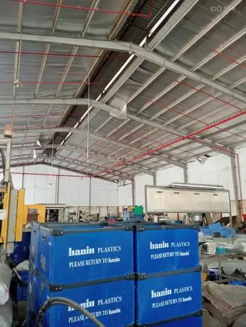 6014796 ảnh đại diện 1