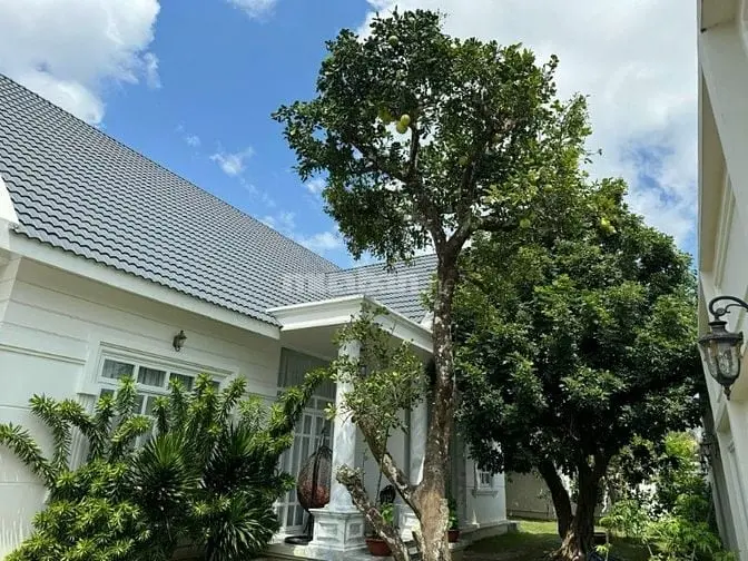 6014579 ảnh đại diện 1
