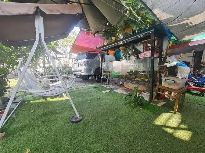 6014555 ảnh đại diện 1