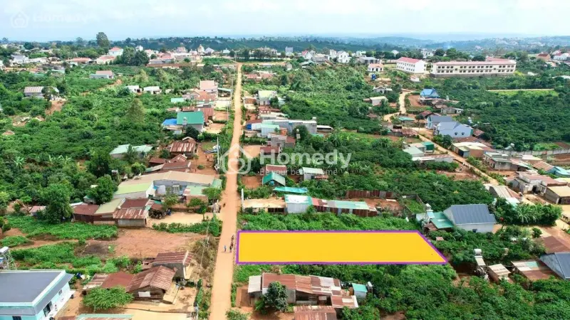6014769 ảnh đại diện 1