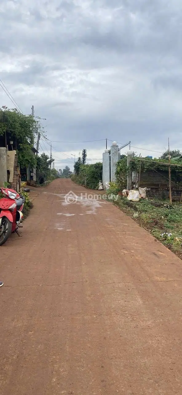 Đất Đinh Lạc 10X45M Có 150M Thổ Đường Ô Tô Giá 1,1 Tỷ
