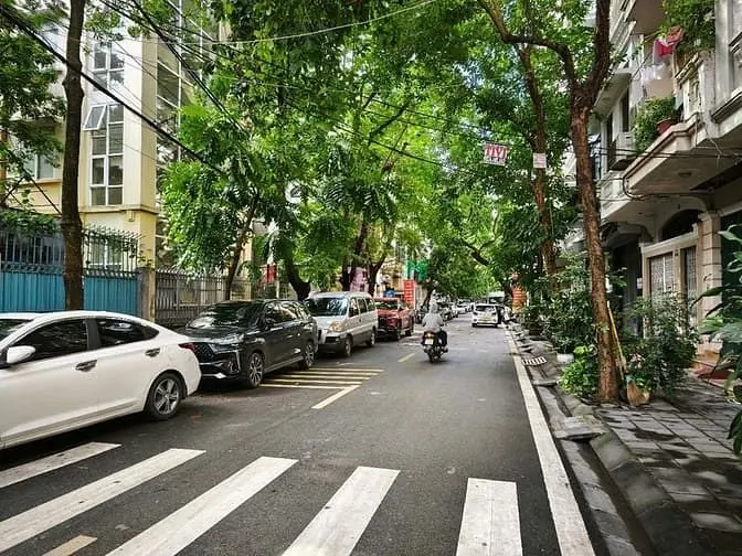 6014819 ảnh đại diện 1