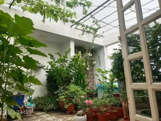 Nhà Sân Vườn Trên Mây Thủ Đức 54M² - Chỉ 7 Tỷ 9