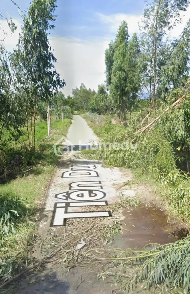 6014876 ảnh đại diện 1