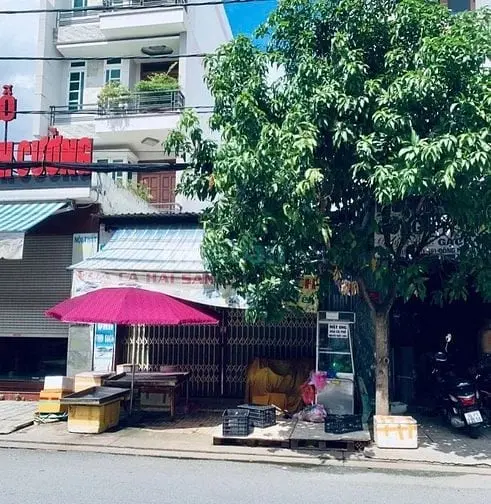 6014887 ảnh đại diện 1