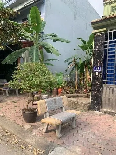 6014611 ảnh đại diện 1