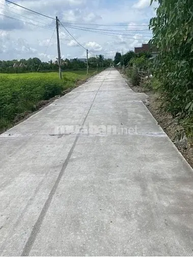 71X125 1Mẫu Lúa,Phủ Hồng, 1 Sẹc Ddt839,Xe Tải Đất, Chợ,B.viện,Trườ500M