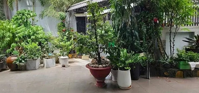 Bán Nhà 1 Trệt 2 Lầu 1 Lửng Đường Đặng Văn Bi, P. Bình Thọ, Dt 104M2