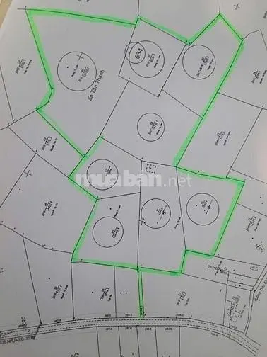 6015184 ảnh đại diện 1
