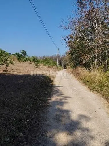 Cần Tiền Làm Ăn Bán Gấp Trong Tháng 8