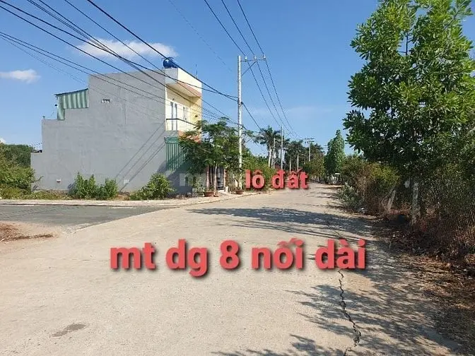6015145 ảnh đại diện 1