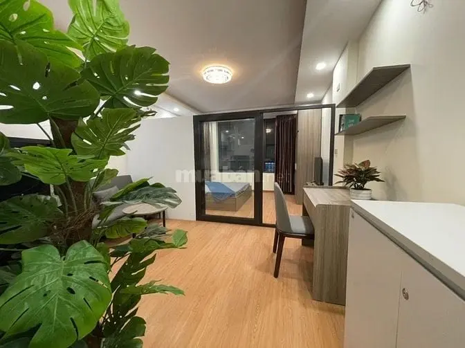 6015041 ảnh đại diện 1