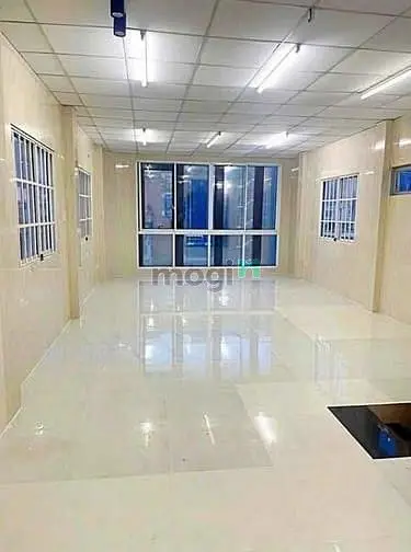 6015221 ảnh đại diện 1