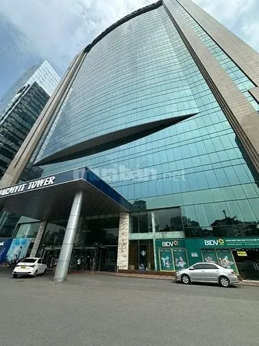 6015035 ảnh đại diện 1