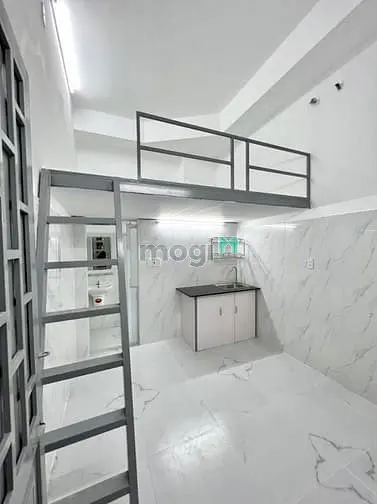 6015100 ảnh đại diện 1