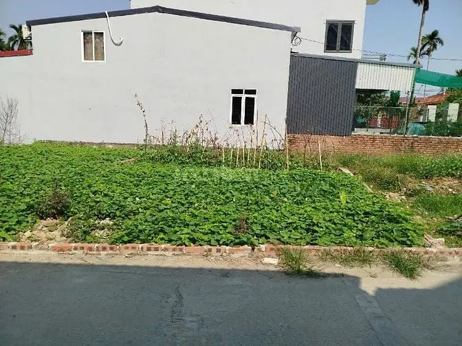 Bán Lô Đất 65M2 Tại Đào Yêu, Hồng Thái, An Dương. Giá 1,3 Tỷ