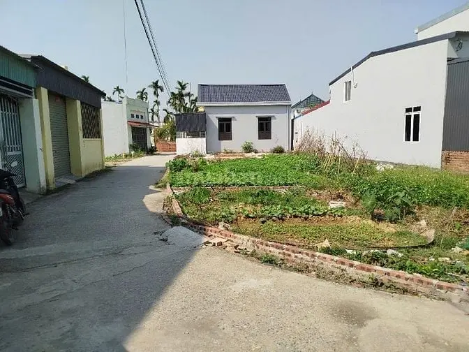 Bán Lô Đất 65M2 Tại Đào Yêu, Hồng Thái, An Dương. Giá 1,3 Tỷ