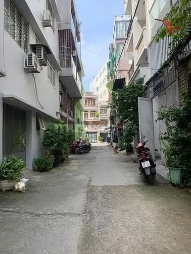 6015031 ảnh đại diện 1