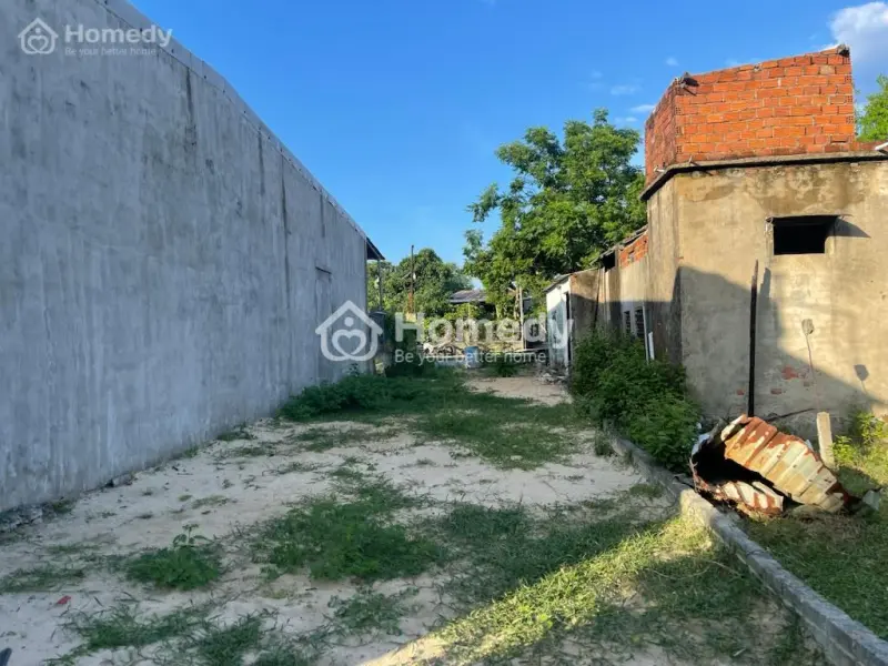 6015105 ảnh đại diện 1
