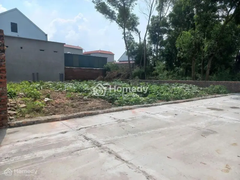 6015106 ảnh đại diện 1