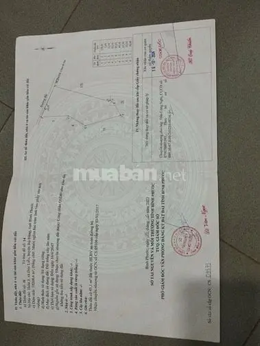 Cần Tiền Làm Ăn Bán Gấp Trong Tháng 8