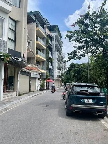 6015054 ảnh đại diện 1