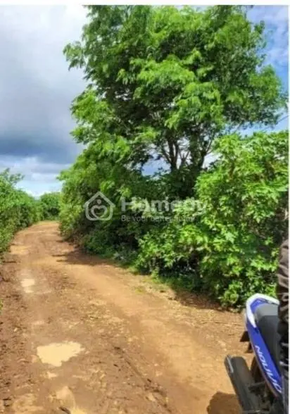Bán 2000 M2 Đất Nông Nghiệp Thị Trấn Liên Nghĩa Đức Trọng Lâm Đồng 2 Tỷ Sổ Riêng Đường Ô Tô