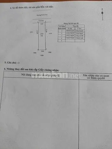 6015568 ảnh đại diện 1