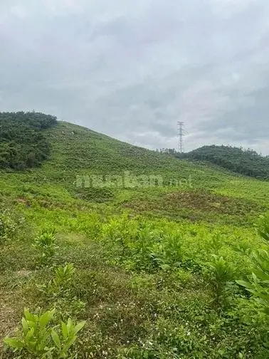 6015460 ảnh đại diện 1