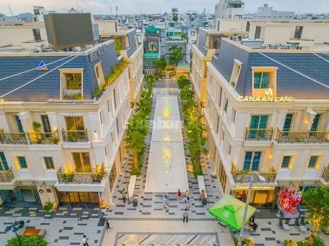 6015416 ảnh đại diện 1