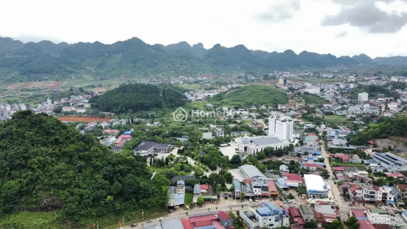 6015269 ảnh đại diện 1