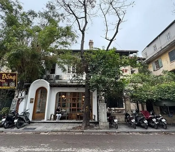 6015265 ảnh đại diện 1