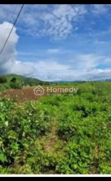 Bán 2000 M2 Đất Nông Nghiệp Thị Trấn Liên Nghĩa Đức Trọng Lâm Đồng 2 Tỷ Sổ Riêng Đường Ô Tô