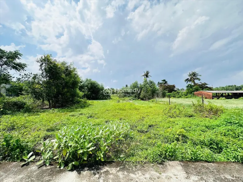 6015688 ảnh đại diện 1