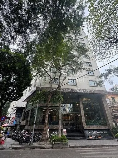 Bán Nhà Mặt Phố Hàn Thuyên Cực Đẹp, 291M2, Mặt Tiền 12M Chỉ 135 Tỷ