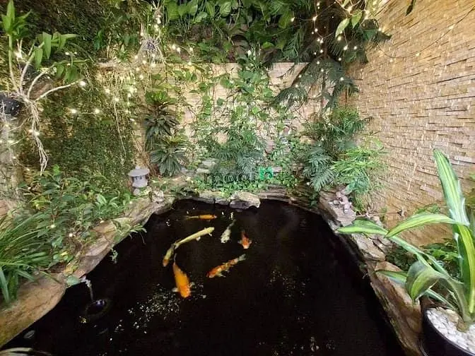 6015777 ảnh đại diện 1