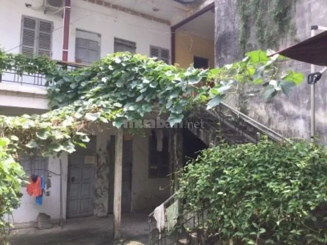 6015677 ảnh đại diện 1